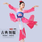 Adult Modern Chinese Classical Dance Performance Costume Women's Set Stage Show Outfit Skirt Top Ensemble - Image 2