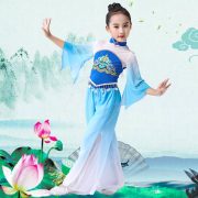 Adult Modern Chinese Classical Dance Performance Costume Women's Set Stage Show Outfit Skirt Top Ensemble - Image 3