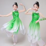Mandala Adult Stage Performance Costume Classic Dance Outfit Women's Yangge Fan Dance Elegant Chinese Style - Image 2