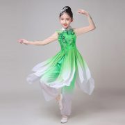 Mandala Adult Stage Performance Costume Classic Dance Outfit Women's Yangge Fan Dance Elegant Chinese Style