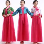 Traditional Korean Hanbok Women's Stage Performance Costume Adult Korean Ethnic Dance Outfit for Performances