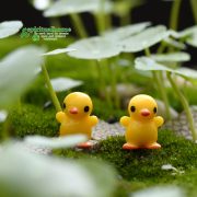 苔藓微景观 多肉植物摆件 站姿小黄鸭   小摆件DIY材料可爱 - Image 2