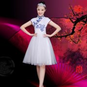 New Adult Stage Performance Costume Classical Dance Outfit Modern Folk Music Guzheng Erhu Performance Apparel - Image 2