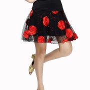Adult Stage Performance Costume Sparkling Skirt Embroidered Dance Practice and Performance Outfit Square Show Performance Clothing - Image 5