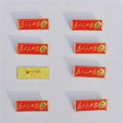 Custom Metal Medal Badge Chairman Mao Zedong Portrait 8pcs Long Thin Strips Service For The People Red Chest Badge Commemorative Coin With Box - Image 2