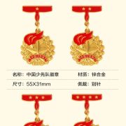 Custom Metal Medal Badge Red Scarf Award Pin Star Level Basic Collective Pins For Scout Team Leader And Member - Image 3