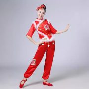 2023 New Style Adult Stage Performance Costume Women's Set Traditional Northeastern Chinese Lantern Dance Outfit for Festive Occasions - Image 2