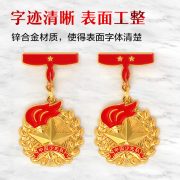 Red Scarf Award Personal Star Badge Metal Custom Medal Pin for Pioneer Cadet Torch Emblem Silver Gold Color Commendation