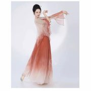 New Classic Dance Performance Costume Women Phoenix Red Gradient Color Drifting Silk Clothes Chinese Fan Dance Performance Outfit - Image 4