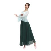 Adult Stage Performance Costume Classic Dance Practice Uniform Women's Modern Dance Split Pants Square Dance Show Outfit - Image 5