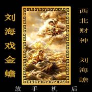 Northwest Wealth God Metal Craft Custom Metal Medal Badge Wealth Attraction Treasure Card Holder Gold Frog Design Ornament - Image 2