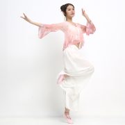 Adult Stage Performance Costume Classic Dance Practice Uniform Women's Modern Dance Split Pants Square Dance Show Outfit