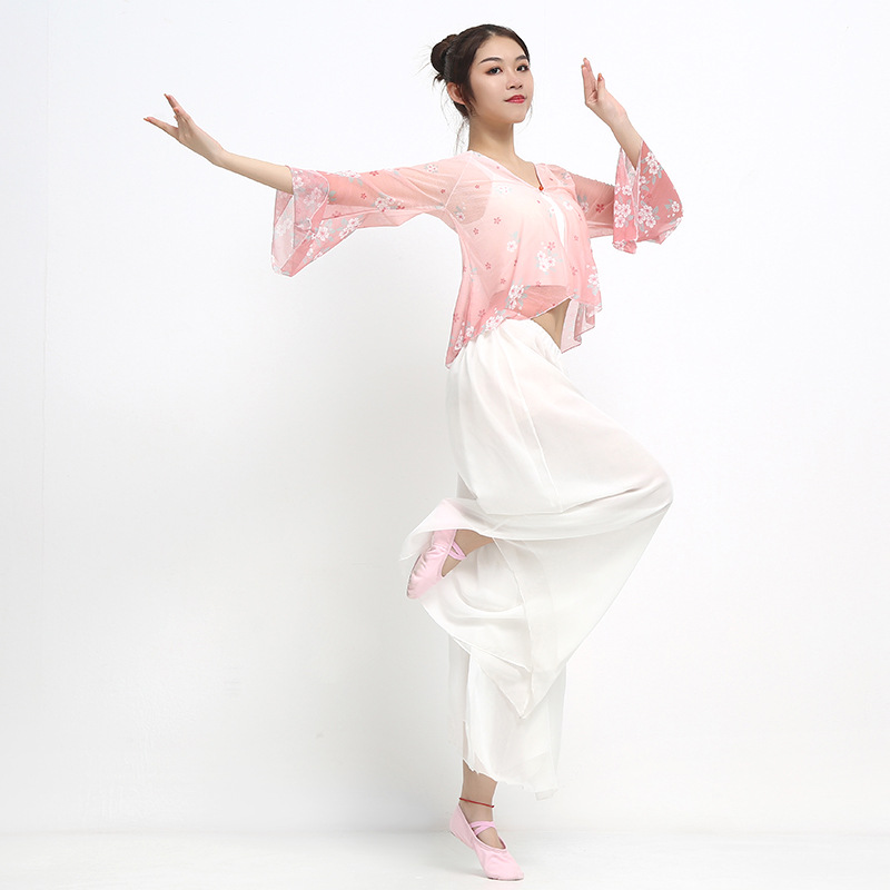 O1CN01Do84OP1Zlfyl9DRyD_2214243235-0-cib.jpg Adult Stage Performance Costume Classic Dance Practice Uniform Women's Modern Dance Split Pants Square Dance Show Outfit - Image 1