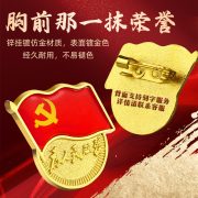 New Custom Metal Medal Badge Strong Magnet Pin Butterfly Buckle Standard Zinc Alloy Chest Badge Party Emblem - Image 4