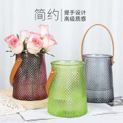 定制手提玻璃花瓶 ins风水培鲜花绿萝 客厅摆件网红装饰玻璃花瓶 - Image 2