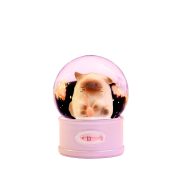 Customizable Cartoon Cat Desktop Decoration Mini Crystal Fans Collectible Figurine Home Decor Resin Craft Toy Wholesale - Image 5