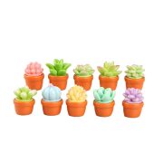 Customizable Decorative Ornaments Miniature Succulent Potted Plants Cartoon Tabletop Garden Scenery DIY Resin Crafts - Image 5