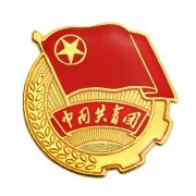 厂家标准版共青团强磁胸徽学校学生团徽铁质滴塑团员徽章团徽 - Image 6