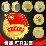 厂家标准版共青团强磁胸徽学校学生团徽铁质滴塑团员徽章团徽 - Image 3