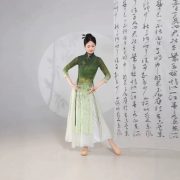 Classical Dance Cheongsam Elastic Training Suit Adult Stage Performance Costume Body Shape Etiquette Walk Show Zen Clothes - Image 2