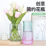 批发特价北欧ins风玻璃花瓶 富贵竹水养鲜花插花复古组合桌面摆件 - Image 5