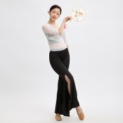 Short Dance Practice Top with Seven-Quarter Sleeves and V-neck Silver Stage Performance Costume with Split Bell Bottoms