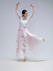 Classical Dance Practice Uniform Cheongsam Drifting Women's Chinese Style Dance Costume Shawl Ethnic Dance Performance Outfit - Image 4