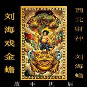 Northwest Wealth God Metal Craft Custom Metal Medal Badge Wealth Attraction Treasure Card Holder Gold Frog Design Ornament