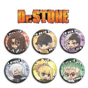 Dr.STONE Anime Badge Custom Metal Medal 58mm Chest Pin Two-Dimensional Surrounding Jibba Hanging Ornament E Model