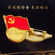 Custom Metal Medal Badge Zinc Alloy Service Pin Butterfly Buckle Political Party Emblem Thickened Magnet - Image 2