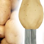 Adult Potato Sponge Suit Cosplay Costume for School Events Parties Performances Halloween In Stock Stage Performance Costume