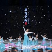 2025 New Women's Stage Performance Costume Elegant Opening Dance Skirt Outfit for Evening Annual Conference Show - Image 3
