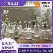 批发特价北欧ins风玻璃花瓶 富贵竹水养鲜花插花复古组合桌面摆件 - Image 2