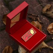 High Definition Custom Metal Medal Badge Service For The People Red Emblem Long Strip With Red Lid Box Ideal For Commemoration - Image 2