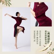 Autumn Winter Velvet Dance Performance Costume Adult Stage Classical Style Cheongsam With Scarf Practice Suit - Image 2