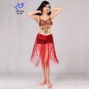 Adult Stage Performance Costume Sequin Skirt Handmade Bra Tassel Skirt Belly Dance Outfit Glitter Stage Wear
