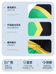 Ice Light Rush Cosplay Suit Adult Stage Performance Costume Jamaica Bobsleigh Team Movie Replica Jumpsuit Tight Fit Performance Outfit - Image 4