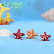 小海星 五角海星 地中海风格 树脂工艺品微景观摆件 创意装饰摆件 - Image 5
