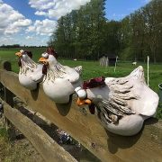 Customizable Decorative Resin Ornament Funny Chicken Fence Decor Garden Yard Artwork Handmade Unique Home Decor - Image 3