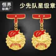 Custom Metal Medal Badge Magnetic Clasp Standard School Emblem Safety Pin Style Strong Magnetism Free Shipping
