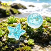 跨境新品创意海洋贝壳水族馆苔藓造景 diy装饰品微景观桌面小摆件 - Image 3