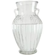 Double-Eared Vertical Transparent Glass Flower Vase Customizable Decorative Ornament for Fresh and Dried Flowers Green Ivy