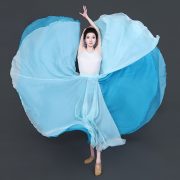 Classical Dance Skirt Adult Stage Performance Costume Lyocell Material Double-Sided Wear Chinese Modern Dance Outfit - Image 2