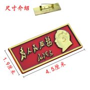 High Definition Custom Metal Medal Badge Service For The People Red Emblem Long Strip With Red Lid Box Ideal For Commemoration - Image 3