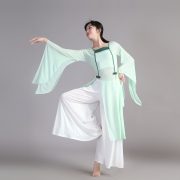 Elegant Chinese Style Dance Performance Costume Women's Flowing Fairy Gown Wide Leg Pants Set Adult Stage Performance Outfit - Image 4
