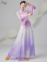 2026 New Dance Costume Gradual Ethereal Gown Classical Dance Practice Uniform Women's Adult Stage Performance Ensemble - Image 4