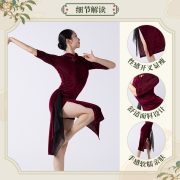 Autumn Winter Velvet Dance Performance Costume Adult Stage Classical Style Cheongsam With Scarf Practice Suit - Image 3