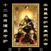 十二生肖道系随身卡纸守护神祝福贴纸天灵官大护法合金卡 - Image 2