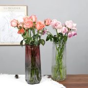 北欧大号玻璃花瓶简约富贵竹百合玫瑰鲜花水培批发摆件家居摆件 - Image 5