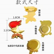 少先队队徽-磁扣式标准型少先队员的队徽小学生安全别针强磁扣 - Image 3